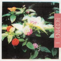 Konkurrent Amulets - Blooming (LP)