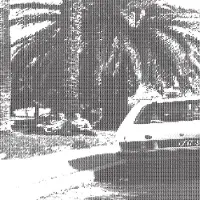 Konkurrent Khotin - Beautiful You (LP) (Coloured Vinyl) (Limited Edition)