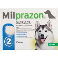 Milprazon Hond