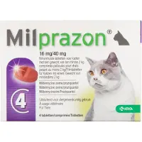 Milprazon Kat