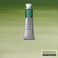 Winsor & Newton W&N Professional Aquarelverf 5ml | Oxide of Chromium