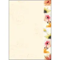 Sigel DP788 Design papier A4 Mat 90 g/m² 21 x 29,7 cm Kleurenassortiment 50 Vellen