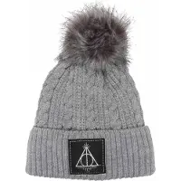 Harry Potter Unisex Adult Deathly Hallows Beanie (Grijs)