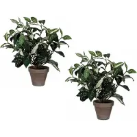 Mica Decorations Cordyline kunstplant - 2x stuks - groen - H33 cm x D25 cm - grijze sierpot