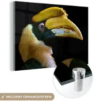 MuchoWow Glasschilderij 180x120 cm - Schilderij acrylglas - Vogel - Snavel - Zwart - Foto op glas - Schilderijen