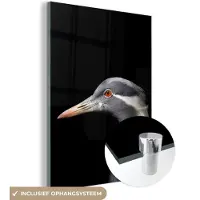 MuchoWow Glasschilderij 120x160 cm - Schilderij acrylglas - Vogel - Dieren - Portret - Foto op glas - Schilderijen