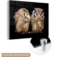 MuchoWow Glasschilderij 160x120 cm - Schilderij acrylglas - Uil - Vogel - Zwart - Foto op glas - Schilderijen