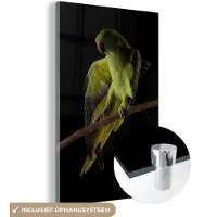 MuchoWow Glasschilderij 120x180 cm - Schilderij acrylglas - Papegaai - Vogel - Tak - Foto op glas - Schilderijen