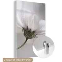 MuchoWow Glasschilderij - Bloemen - Wit - Botanisch - Natuur - Foto op glas - Schilderij glas - 20x30 cm - Glazen plaat - Wanddecoratie - Muurdecoratie