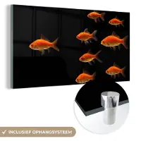 MuchoWow Glasschilderij 120x60 cm - Schilderij acrylglas - Goudvis - Dieren - Zwart - Foto op glas - Schilderijen