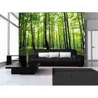 Consalnet Vliesbehang - Fotobehang - Bos - Bomen - Zomer - Zon - Natuur - 254x184cm - Groen