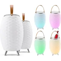 FlinQ Draadloze Led Speakerlamp met Wijnkoeler - 2 varianten