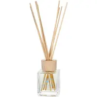 Agua de Baleares Extra's Geurstokjes Mikado Diffuser Formentera 100 ml