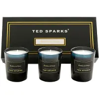 Ted Sparks Geurkaars Giftset Bamboo & Peony