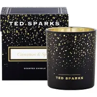 Ted Sparks Geurkaars Demi Cinnamon & Spice