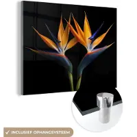 MuchoWow Glasschilderij 160x120 cm - Schilderij acrylglas - Planten - Bloemen - Paradijsvogelbloem - Portret - Zwart - Foto op glas - Schilderijen