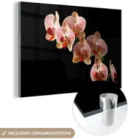 MuchoWow Glasschilderij 120x80 cm - Schilderij acrylglas - Bloemen - Orchidee - Roze - Botanisch - Natuur - Foto op glas - Schilderijen