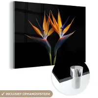 MuchoWow Glasschilderij 180x120 cm - Schilderij acrylglas - Planten - Bloemen - Paradijsvogelbloem - Portret - Zwart - Foto op glas - Schilderijen