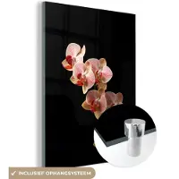 MuchoWow Glasschilderij 60x80 cm - Schilderij acrylglas - Bloemen - Orchidee - Roze - Botanisch - Natuur - Foto op glas - Schilderijen