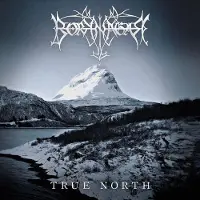Sony music True North