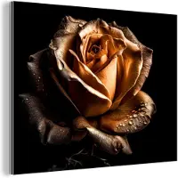 MuchoWow Wanddecoratie Metaal - Aluminium Schilderij Industrieel - Roos - Goud - Bloemen - Botanisch Zwart - 160x120 cm - Dibond - Foto op aluminium - Industriële muurdecoratie - Voor de woonkamer/slaapkamer