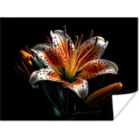 PosterMonkey Poster Bloemen - Lelie - Oranje - Portret - Zwart - 80x60 cm
