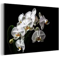 MuchoWow Wanddecoratie Metaal - Aluminium Schilderij Industrieel - Orchidee - Bloemen - Wit - Natuur - Zwart - 120x80 cm - Dibond - Foto op aluminium - Industriële muurdecoratie - Voor de woonkamer/slaapkamer