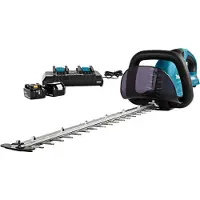 Kippers Rijssen DUH651PT2 LXT 2x18V Li-Ion Accu Heggenschaar Set (2x 5,0Ah) - 650mm