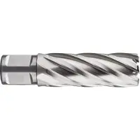 Kippers Rijssen HSS Kernboor SILVER-LINE, weldon 19, ø24x55 - 536.2401W