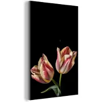 MuchoWow Wanddecoratie Metaal - Aluminium Schilderij Industrieel - Tulpen - Bloemen - Roze - Wit - Natuur - 40x60 cm - Dibond - Foto op aluminium - Industriële muurdecoratie - Voor de woonkamer/slaapkamer