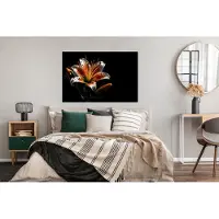 PosterMonkey Poster Bloemen - Lelie - Oranje - Portret - Zwart - 120x80 cm