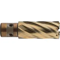 Rotec HSS-XE Kernboor GOLD-LINE, quickin 18, ø17x40 - 5391700