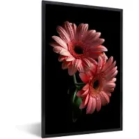 PosterMonkey Fotolijst incl. Poster - Bloemen - Gerbera - Roze - Natuur - Portret - 40x60 cm - Posterlijst