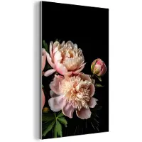 MuchoWow Wanddecoratie Metaal - Aluminium Schilderij Industrieel - Pioenrozen - Bloemen - Natuur - Roze - Wit - 20x30 cm - Dibond - Foto op aluminium - Industriële muurdecoratie - Voor de woonkamer/slaapkamer