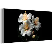 MuchoWow Wanddecoratie Metaal - Aluminium Schilderij Industrieel - Bloemen - Wit - Hibiscus - Natuur - Zwart - 160x80 cm - Dibond - Foto op aluminium - Industriële muurdecoratie - Voor de woonkamer/slaapkamer