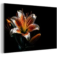 MuchoWow Wanddecoratie Metaal - Aluminium Schilderij Industrieel - Bloemen - Lelie - Oranje - Portret - Zwart - 90x60 cm - Dibond - Foto op aluminium - Industriële muurdecoratie - Voor de woonkamer/slaapkamer