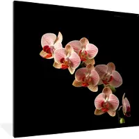 PosterMonkey Fotolijst incl. Poster - Bloemen - Orchidee - Roze - Botanisch - Natuur - 40x40 cm - Posterlijst