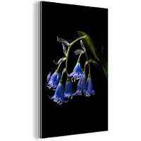 MuchoWow Wanddecoratie Metaal - Aluminium Schilderij Industrieel - Hyacint - Bloemen - Blauw - Natuur - Zwart - 60x90 cm - Dibond - Foto op aluminium - Industriële muurdecoratie - Voor de woonkamer/slaapkamer