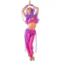 Widmann 1001 Nacht & Arabisch & Midden-Oosten Kostuum | Buikdansende Harem Danseres Kostuum Vrouw | Small | Carnavalskleding | Verkleedkleding