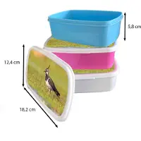 MuchoWow Broodtrommel Roze - Lunchbox - Brooddoos - Vogel - Gras - Natuur - Dieren - Kievit - 18x12x6 cm - Kinderen - Meisje