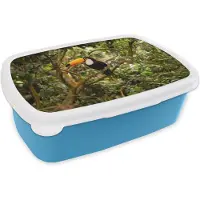 MuchoWow Broodtrommel Blauw - Lunchbox - Brooddoos - Vogel - Toekan - Jungle - Natuur - Tropisch - 18x12x6 cm - Kinderen - Jongen