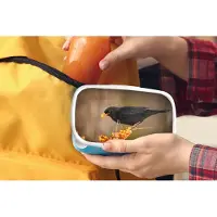 MuchoWow Broodtrommel Blauw - Lunchbox - Brooddoos - Vogel - Merel - Winter - IJs - Bes - 18x12x6 cm - Kinderen - Jongen