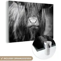 MuchoWow Glasschilderij 60x40 cm - Schilderij acrylglas - Schotse Hooglander - Haar - Dieren - Foto op glas - Schilderijen