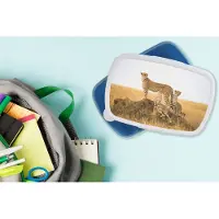MuchoWow Broodtrommel Blauw - Lunchbox - Brooddoos - Cheetah - Gras - Natuur - Savanne - 18x12x6 cm - Kinderen - Jongen