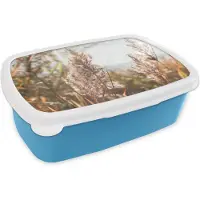 MuchoWow Broodtrommel Blauw - Lunchbox - Brooddoos - Riet - Zon - Plant - 18x12x6 cm - Kinderen - Jongen