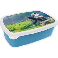 MuchoWow Broodtrommel Blauw - Lunchbox - Brooddoos - Panda - Bamboe - Gras - Dieren - 18x12x6 cm - Kinderen - Jongen