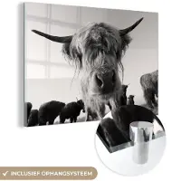 MuchoWow Glasschilderij 180x120 cm - Schilderij acrylglas - Schotse Hooglander - Zwart - Wit - Dieren - Foto op glas - Schilderijen