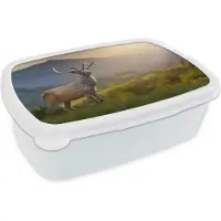MuchoWow Broodtrommel Wit - Lunchbox - Brooddoos - Hert - Berg - Gras - Zonsondergang - Dieren - Natuur - 18x12x6 cm - Volwassenen