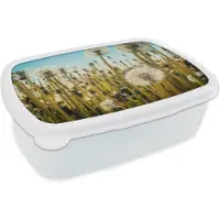 MuchoWow Broodtrommel Wit - Lunchbox - Brooddoos - Bloemen - Paardenbloem - Grasveld - 18x12x6 cm - Volwassenen