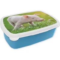 MuchoWow Broodtrommel Blauw - Lunchbox - Brooddoos - Dieren - Biggetje - Varken - 18x12x6 cm - Kinderen - Jongen